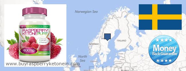 Gdzie kupić Raspberry Ketone w Internecie Sweden